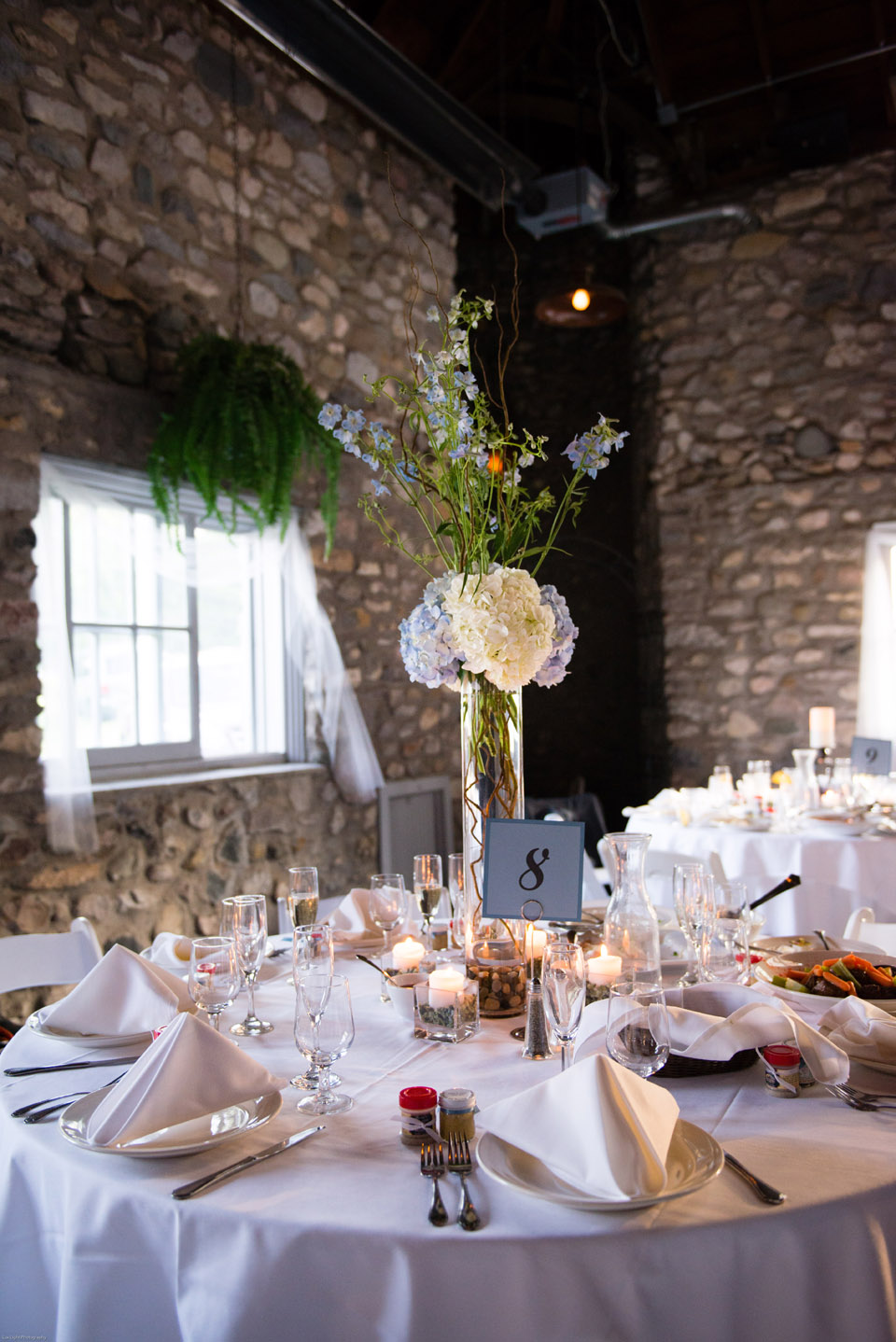 northern michigan wedding photographers, engagements, portraits