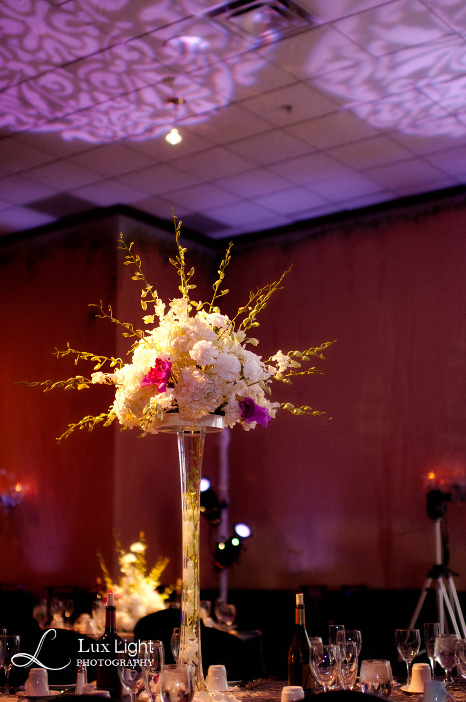 northern michigan wedding photographers, engagements, portraits