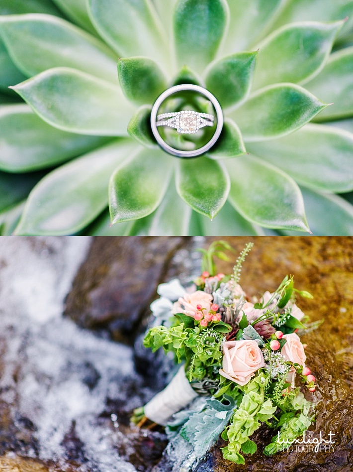 wedding ring in succulent plant