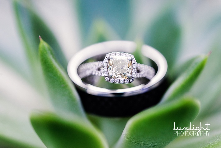 wedding ring in succulent