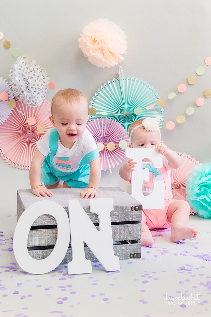 twins turn one year old photography