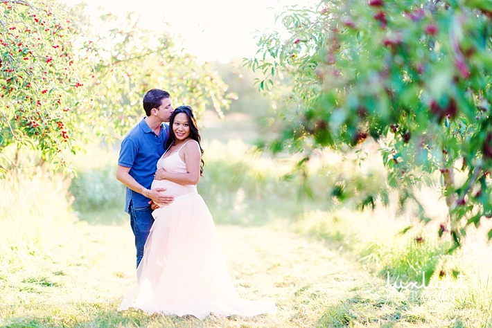 cherry orchard maternity photography