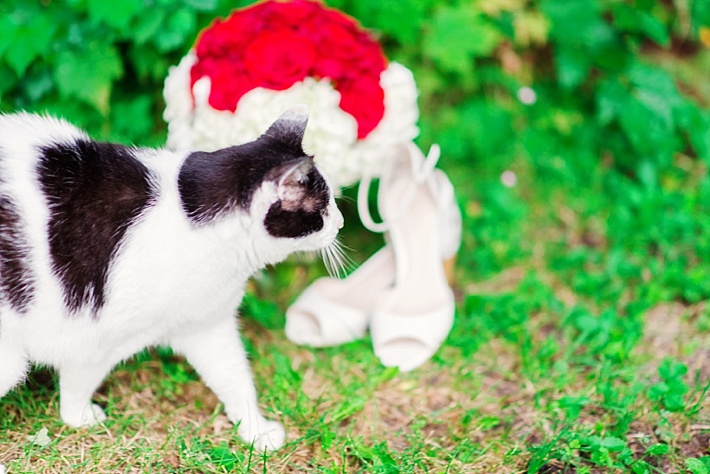 northern michigan wedding photography