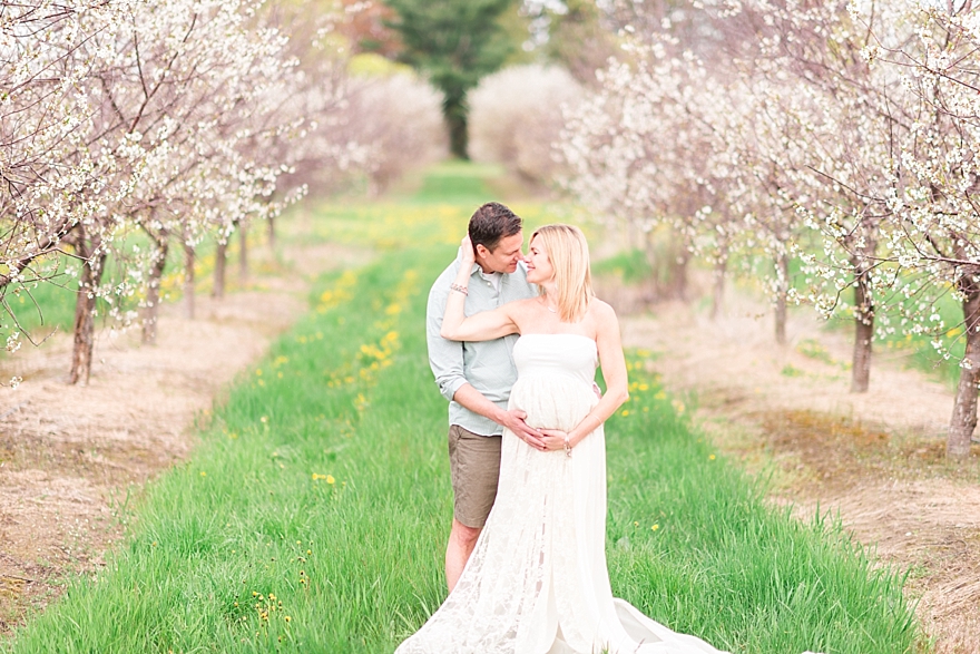 summer maternity photography in the cherry blossom orchards of northern michigan