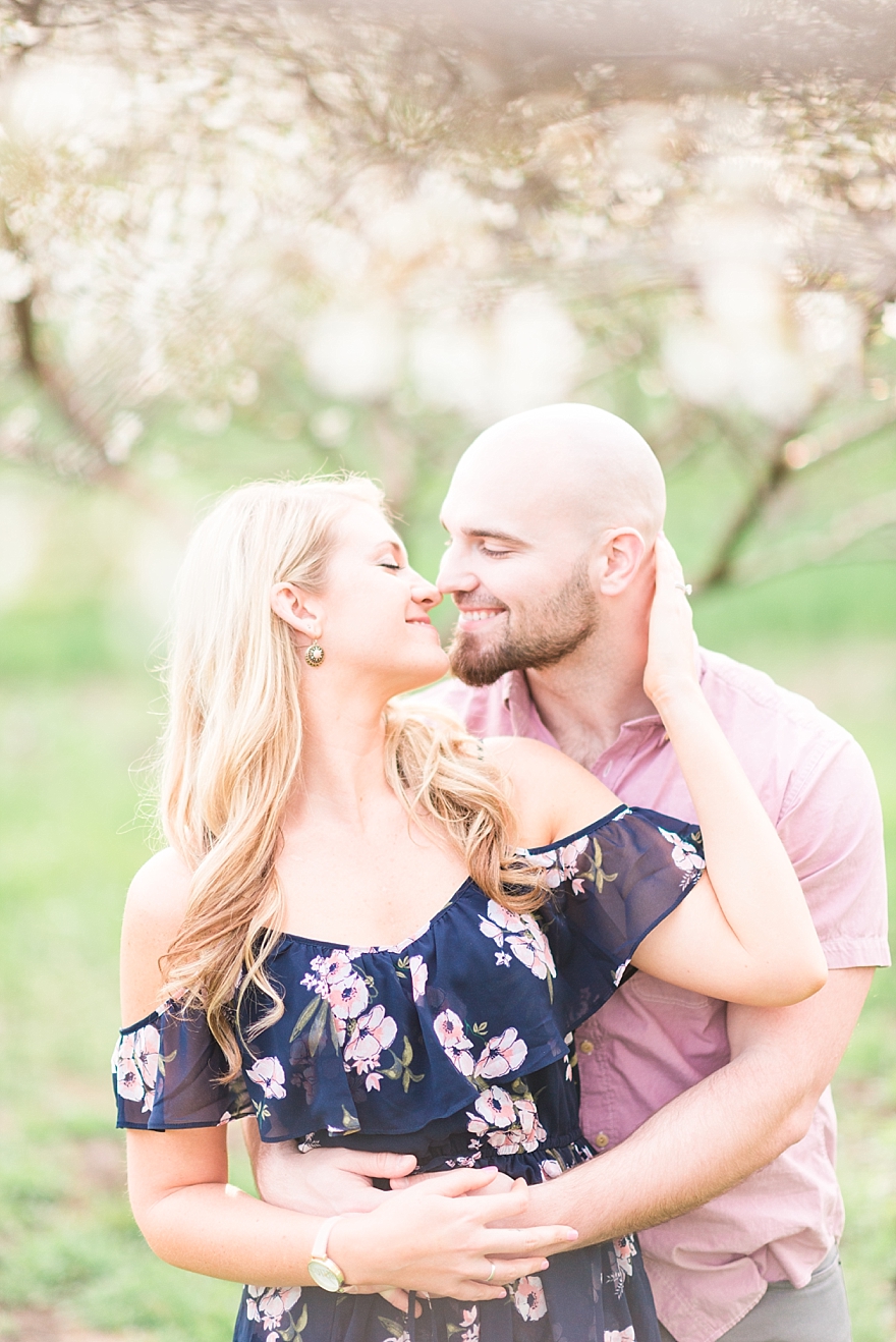 northern michigan engagement photographers, portraits, wedding pictures 