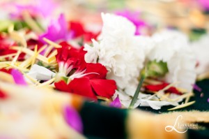 Wedding Photographer Traverse City-Lux Light Photography