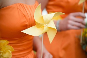 Petoskey MI Wedding Photographers, Portrait Photography Northern Michigan