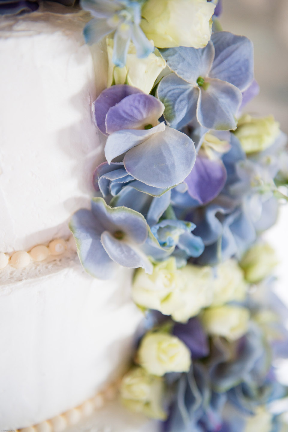 blue-wedding-theme-lux-light-photography-11