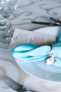 traverse city mi wedding photographers, portraits, engagements, pictures