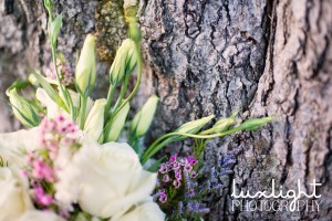 traverse city mi wedding photographers, portraits, engagements, pictures