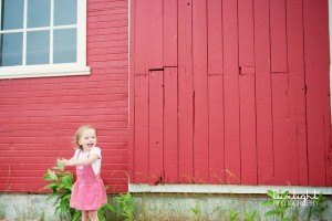 glen arbor mi family wedding photographers, portraits, pictures