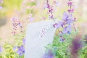 Bay Harbor Michigan Wedding Photography, portraits, engagements, pictures