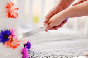 traverse city mi wedding photographers, portraits, engagements, pictures