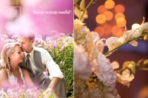 traverse city michigan wedding photographers, portraits, engagement photography