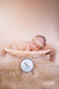 newborn portraits in cute prop