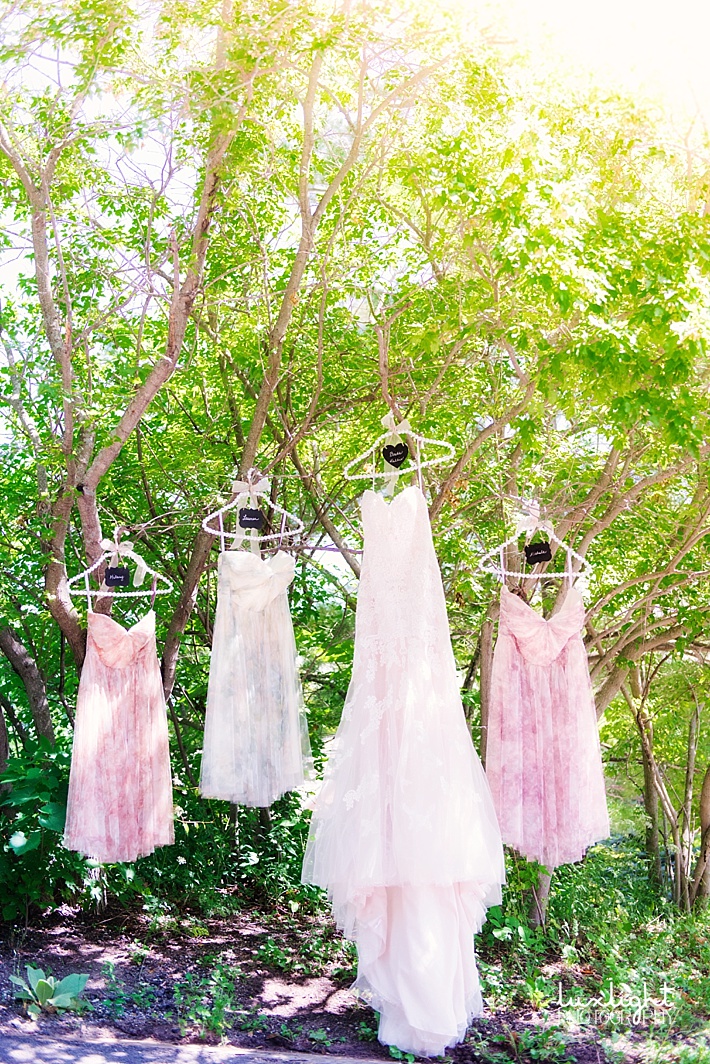 bridesmaids and brides gowns hanging in tree